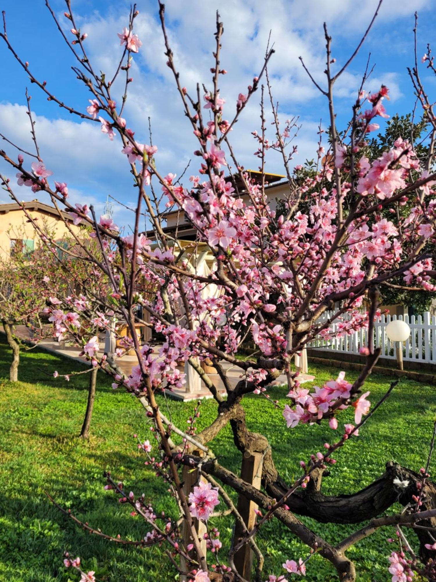 Agriturismo Montefabbrello Magazzini  Buitenkant foto